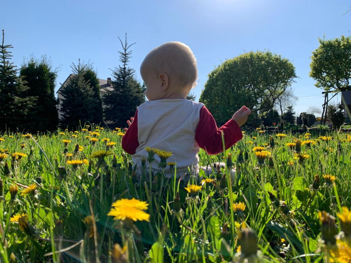Siedlisko Glinnik Bagian luar foto